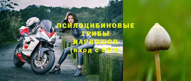 shop наркотические препараты  где купить наркоту  Алатырь  Галлюциногенные грибы ЛСД 